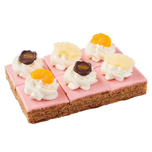 Oranjekoek2026 6st0146