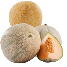 Galia of cantaloupe meloen